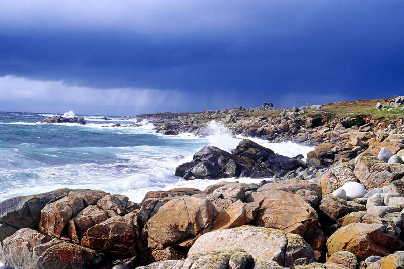 Ile de Batz,  la côte sauvage